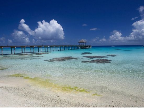 体験ダイビング　ユネスコ自然保護地区「ファカラヴァ島」の豊かな海を満喫＜ボート／1ダイブ／ファカラヴァ島／英語＞by トップダイブ
