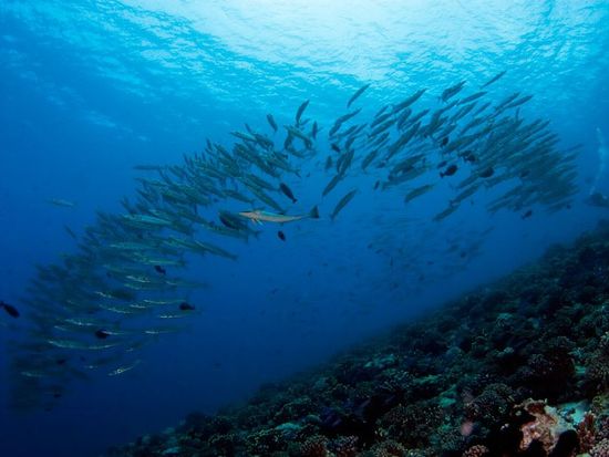 03-becunes-de-heller-photo-V.Truchet