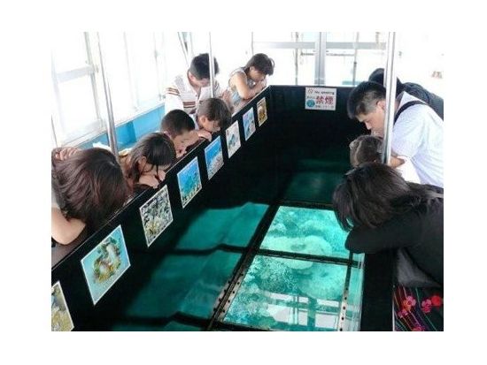 川平湾グラスボート遊覧 クリアな海中を覗いてカラフルな珊瑚や熱帯魚を満喫 ＜15分毎に運航／石垣島＞