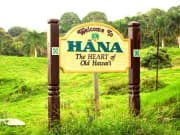 hana5