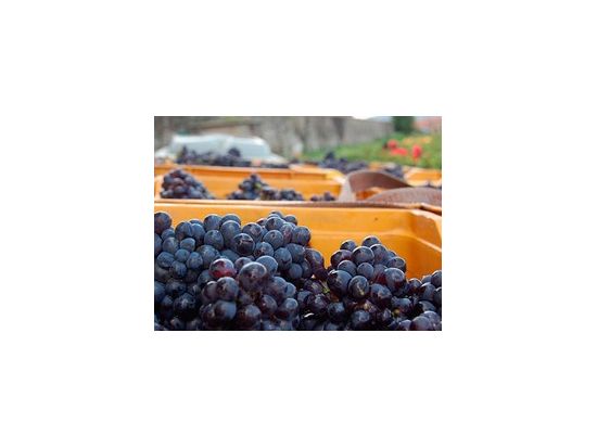 イタリア日帰りワインツアー　ロンバルディア州フランチャコルタ ＜貸切／現地語ドライバー／ミラノ発＞