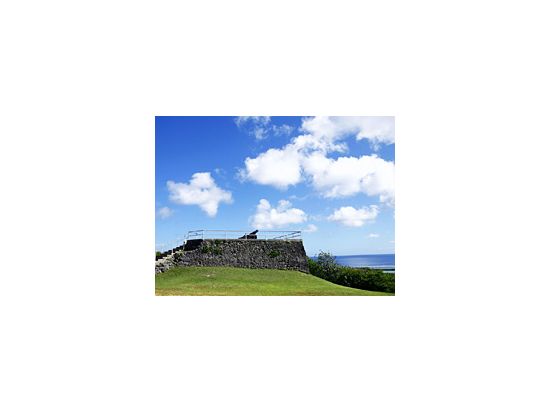 レンタカー予約（セダン／SUV／ミニバン）空港内オフィス24時間営業！＜空港貸出・返却OK＞ by 日産レンタカー