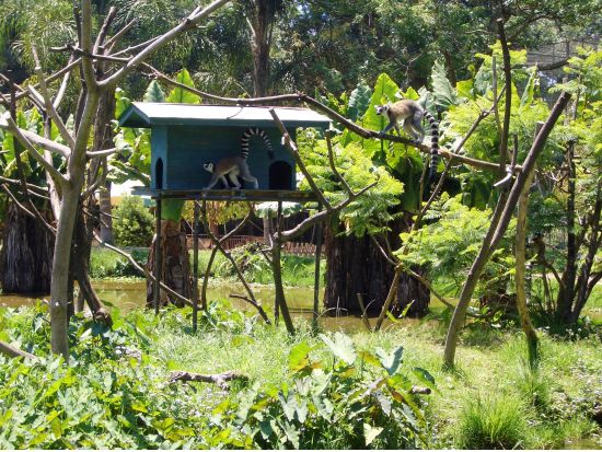 マタガスカルの首都アンタナナリボ観光ツアー ＜半日／専用車／日本語ガイド／アンタナナリボ発＞