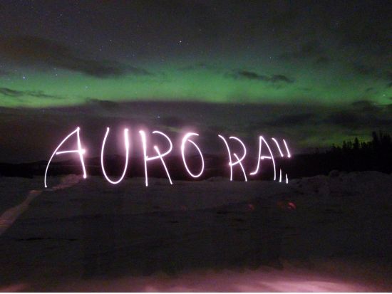 ホワイトホース オーロラ観賞ツアー　参加者だけのオーロラ専用施設での観測 ＜8～4月／一晩／日本語ガイド選択可＞