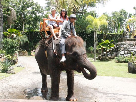 elephant back safari3