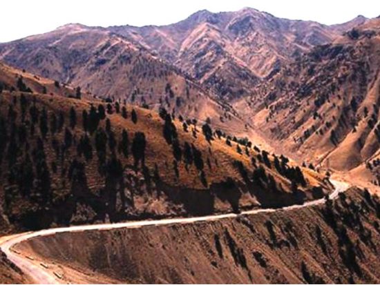 【ウズベキスタン周遊ツアー】7泊8日ツアー 選べるホテルランク！ ＜ 日本語ガイド／プライベート／タシュケント空港送迎付き＞