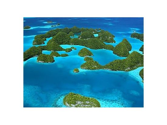 空港送迎シャトルサービス　パラオ国際空港⇔コロール間＜選べる 片道／往復＞ byべラウツアー