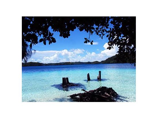 空港送迎シャトルサービス　パラオ国際空港⇔コロール間＜選べる 片道／往復＞ byべラウツアー