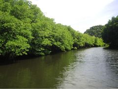 img25_b