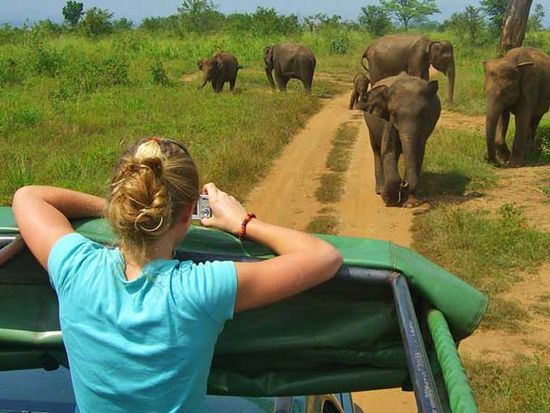 1 Udawalawe Safari
