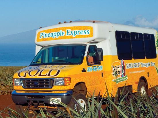 マウイ島 パイナップルファームツアー　試食やパイナップルプレゼントあり