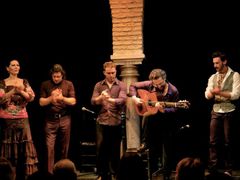 flamenco3
