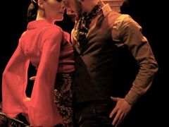 flamenco4