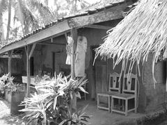WakaLandCruise_03