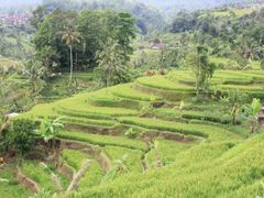 WakaLandCruise_06