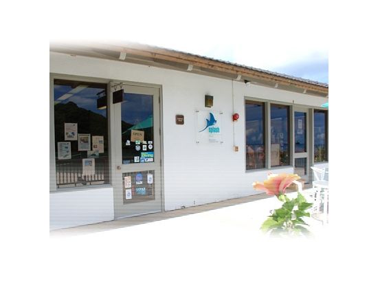 ファンダイビング　ブルー・コーナー／ニュー・ドロップオフなど有名スポット厳選！＜2ダイブ＞ by スプラッシュ