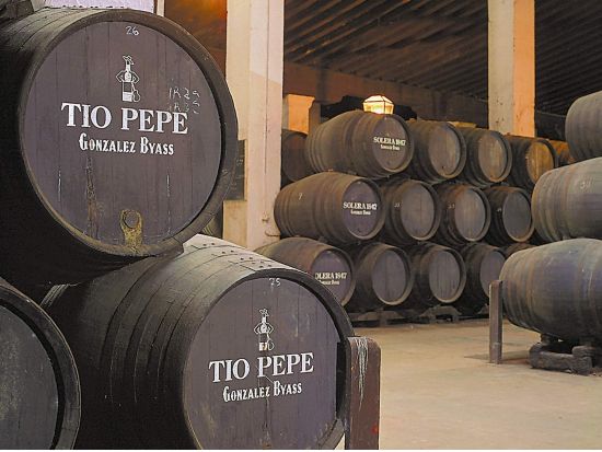 ヘレス＆カディス 日帰り観光ツアー　アンダルシア馬術見学＆ワインセラー訪問＆スペイン最古の町カディス散策 ＜ワイン試飲付き／英語ガイド＞