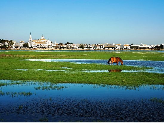 ドニャーナ国立公園＆聖地エル・ロシーオ 観光ツアー　アンダルシアの自然と歴史を満喫 ＜セビリア発＞