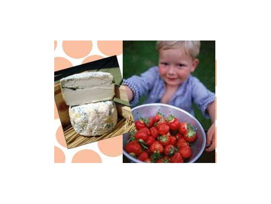 ジャンタロン市場 ウォーキングツアー　地下鉄1日チケット付き ＜日本語ガイド／モントリオール発＞