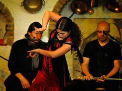 Flamenco-baja-calidad