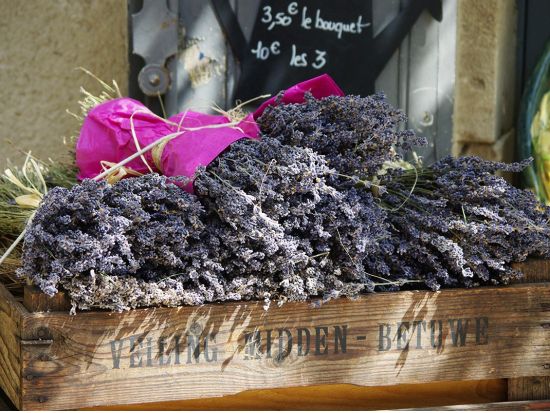 プロヴァンス半日観光ツアー　ゴルド＆ルシヨン　リュベロン地方の村巡り＜英語／アヴィニョン発＞