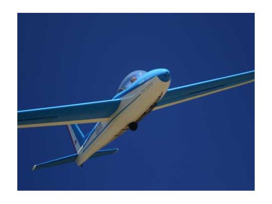 グライダー（滑空機）遊覧飛行　エンジンレスの静かな機体で、鳥のように自由に大空を満喫！操縦体験やアクロバット飛行プランも＜フライト15~30分／英語パイロット＞