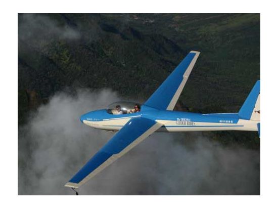 グライダー（滑空機）遊覧飛行　エンジンレスの静かな機体で、鳥のように自由に大空を満喫！操縦体験やアクロバット飛行プランも＜フライト15~30分／英語パイロット＞