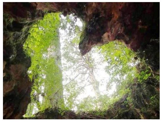 【貸切】縄文杉トレッキングツアー グループや自分たちだけでマイペースにトレッキングしたい方におすすめ レンタル装備付きプランあり　by 屋久島ガイドツアー