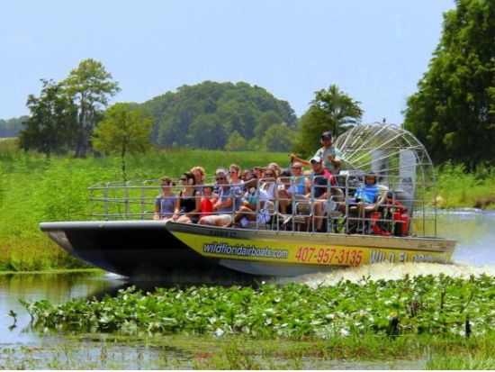 エアボート乗船＆ワイルドフロリダ入場券付き　半日観光ツアー ＜英語ガイド＞