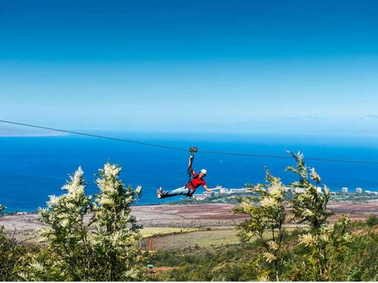 ジップライン8本ツアー　カアナパリから広大な太平洋を一望！＜英語ガイド＞