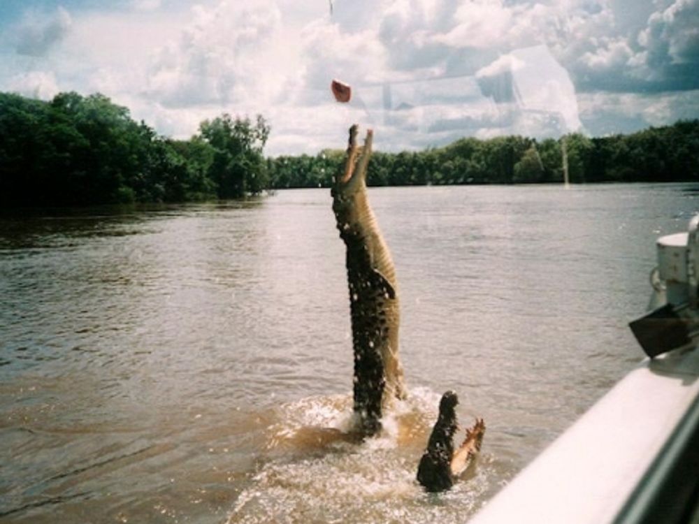 20120720052854_42033226_456_9