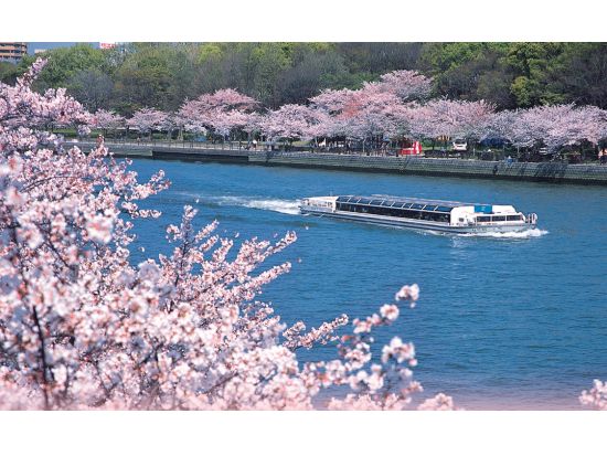 水上バス「アクアライナー」でリバークルーズ！天満橋、大阪城のトンネル等水の都大阪の名所、旧跡を川面から散策＜約40分／大阪城港・八軒家浜着場発＞by大阪水上バス