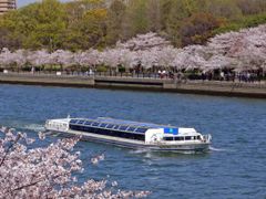 水上バス「アクアライナー」でリバークルーズ！天満橋、大阪城のトンネル等水の都大阪の名所、旧跡を川面から散策＜約40分／大阪城港・八軒家浜着場発＞by大阪水上バスの写真