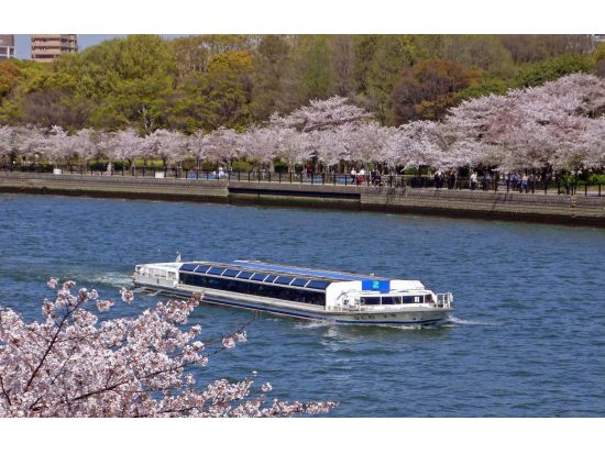 水上バス「アクアライナー」でリバークルーズ！天満橋、大阪城のトンネル等水の都大阪の名所、旧跡を川面から散策＜約40分／大阪城港・八軒家浜着場発＞by大阪水上バス