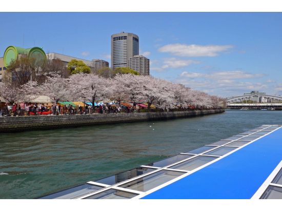 水上バス「アクアライナー」でリバークルーズ！天満橋、大阪城のトンネル等水の都大阪の名所、旧跡を川面から散策＜約40分／大阪城港・八軒家浜着場発＞by大阪水上バス
