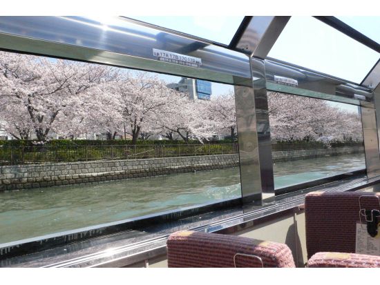 水上バス「アクアライナー」でリバークルーズ！天満橋、大阪城のトンネル等水の都大阪の名所、旧跡を川面から散策＜約40分／大阪城港・八軒家浜着場発＞by大阪水上バス