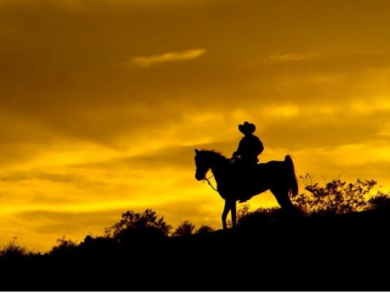 乗馬体験ツアー　夕日鑑賞＆キャンプファイヤー付＜乗馬1.5時間／英語ガイド／夕食付＞