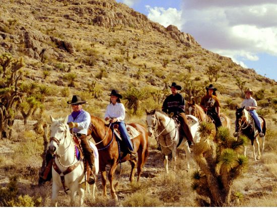 乗馬体験ツアー　夕日鑑賞＆キャンプファイヤー付＜乗馬1.5時間／英語ガイド／夕食付＞