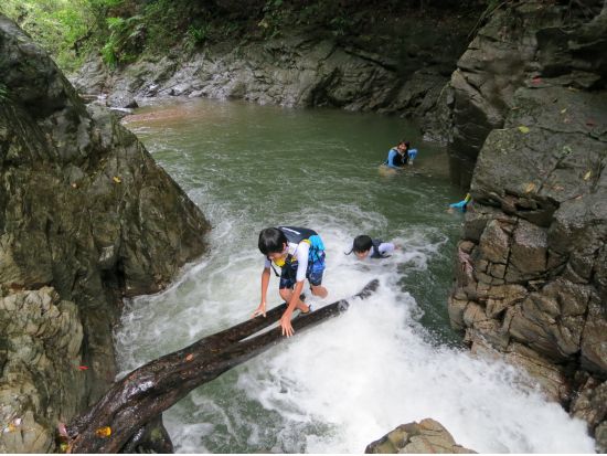 やんばる清流リバートレッキングツアー　小さなお子様も安心のファミリートレッキング！＜写真・動画撮影サービス・恩納村ホテル送迎可＞by 冒険島