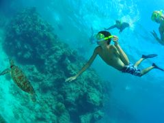 Reef Cruise (4)