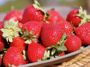 Sunny Ridge Strawberries (348, 348S) (1)