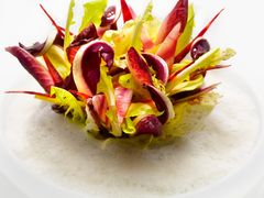 Sunset_of_bitter_leaves,_beetroot,_Brillat_Savarin