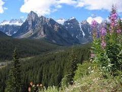 TenPeaks
