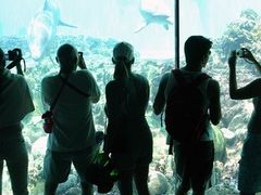 20120726055547_641984597_2221_0
