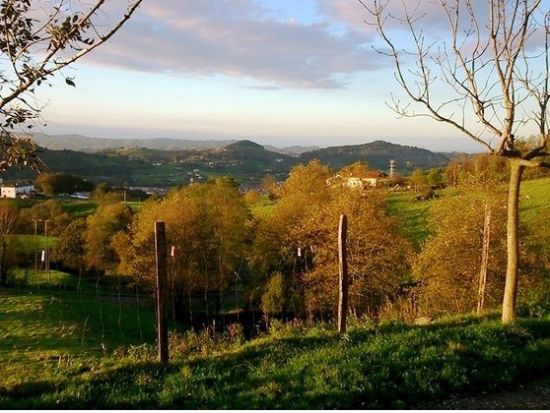 チーズ好き必見！イディアサバルチーズ 農家見学 半日ツアー＜日本語ガイド／試食付／午後／サン・セバスティアン発＞