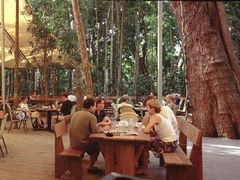 Rainforest Tour (21)