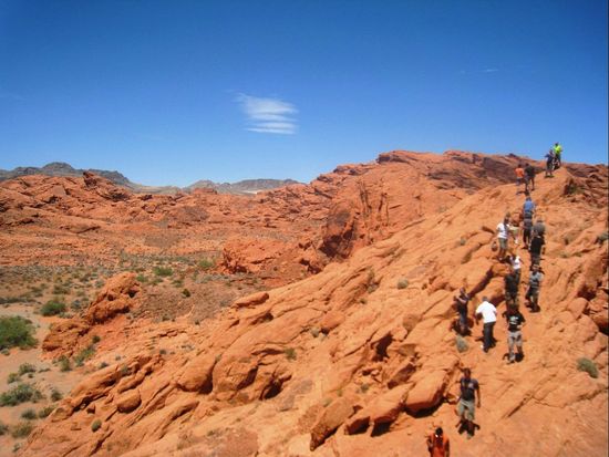 USA_Las Vegas_Sun Buggy Fun Rentals