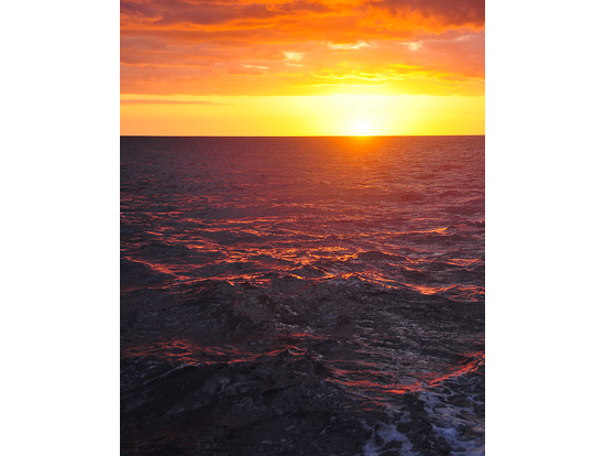 サンセット・ディナーセーリング　スピリット・オブ・アロハ号 ＜金曜日限定／ヒルトン・ハワイアン・ビレッジ発＞