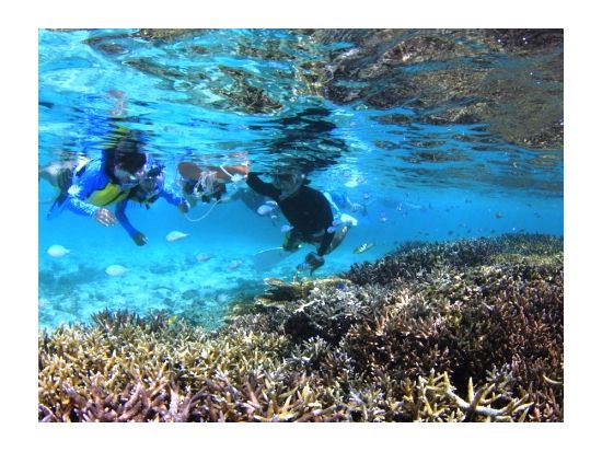 シュノーケリングツアー　クマノミやサンゴを見つけよう！by アイランドエキスパート宮古島