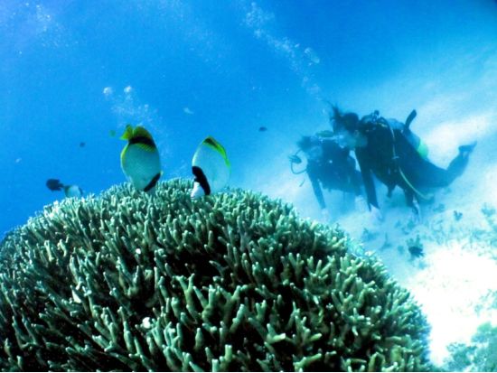 体験ダイビング　少人数制で安心！ビーチエントリーで初心者にもおすすめ＜ビーチ／1ダイブ／宮古島＞